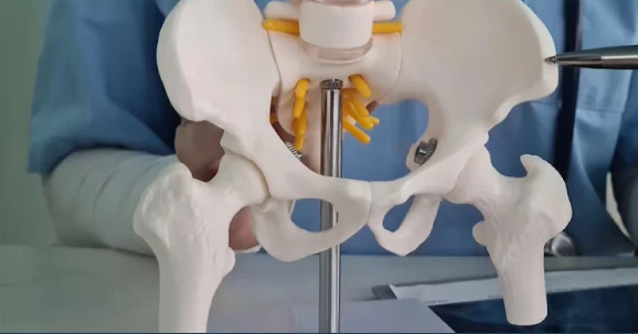 Preservação do Quadril